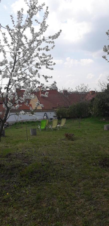 Plitzner Belvarosi Apartmanhaz Eger
